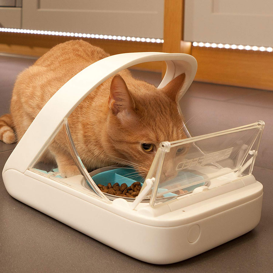 a cat feeder that only opens when the cat is near at a certain time of day